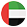 UAE Flag